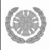 8a - Staff Fire Chief